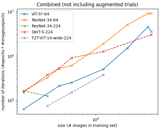 Vision Transformer Analysis